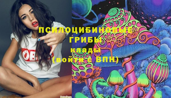 PSILOCYBIN Нягань