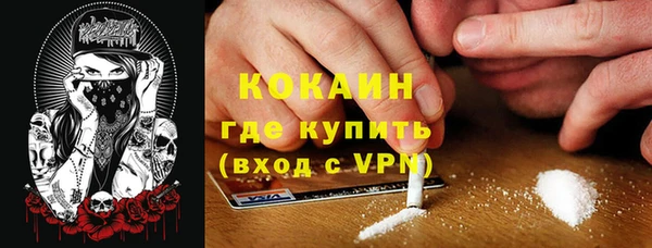 PSILOCYBIN Нягань