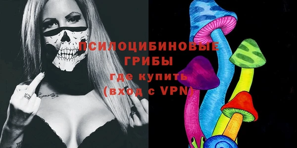mdma Няндома