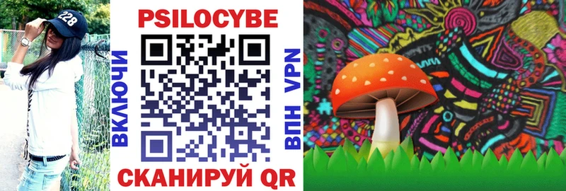 купить наркотик  МЕГА ССЫЛКА  Галлюциногенные грибы Cubensis  Галич 